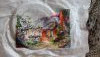 upload_2021_03_21_16_28_04_620.thumb.jpg.6597d1cc44478ec8a9d567a88a93cb74.jpg?1616333310281
