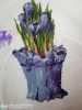 12.thumb.jpg.2eb42caa3779ec29b4d18a168c38f510.jpg