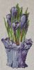 13.thumb.jpg.535ad6060ca3ad4f5be4fa7a36ecaa46.jpg