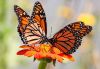 1413068862_.thumb.jpg.181f0e0ec22fc5147eeb3aa181675457.jpg