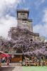 1567851270_-------akhun-65037411.thumb.jpg.f931655d43d0d13757bc737a3a8fc9a0.jpg