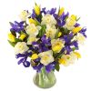 1816877852_3052-Iris-i-narciss.thumb.jpg.e901db18002d5c66cd489e5417863afb.jpg