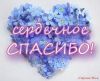 1f050100caa1af91fd86c0bdfb7a6b43.thumb.jpg.4174862b4a6694f5ca3575770e1e9e4d.jpg
