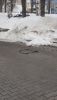 20210325_093847.thumb.jpg.740b642f6aa9a2bac614c8969f9da237.jpg