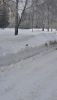 20210325_093858.thumb.jpg.89067c2805c98114f15478bdf0a7ca88.jpg