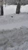 20210325_094042.thumb.jpg.49c4936ffa9d06d07a3103f95d4136eb.jpg