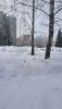 20210325_094221.thumb.jpg.27acbbe2e062762946ae4a3e2d74286b.jpg