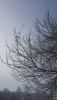 20210325_094817.thumb.jpg.f48f10222c1a59dd828f7c5d3e77d066.jpg
