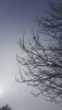 20210325_094836.thumb.jpg.c7b9704c8631c71ed69252e5c3b73e12.jpg