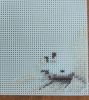20210407_131108.thumb.jpg.e3c4c835c75a0d529efd515f8d592bae.jpg
