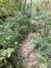 20210421_115844.thumb.jpg.4bfa7a99829c2418a270da73bbf923c0.jpg
