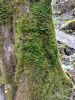 20210421_121024.thumb.jpg.dfe207d48f56e59727089bf40127bc6f.jpg
