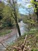 20210421_121535.thumb.jpg.fcd50a6c9cd24d3b7c4c51d6083e3bbc.jpg