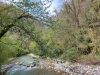 20210421_123931.thumb.jpg.ba6be876807c382aef3c062650e61c2e.jpg