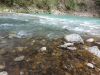 20210421_130441.thumb.jpg.b876aa94a1d1c744bf944f4790710347.jpg
