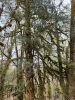 20210421_140759.thumb.jpg.cea052b52cd87bf6002623e80f1c1f73.jpg
