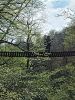 20210421_143233.thumb.jpg.0e2f1ebae7ba7880c40654da1bee13fa.jpg