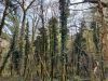 20210421_161238.thumb.jpg.3a44db72ad12986f685b0ab85ed9a2e0.jpg