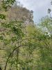 20210422_120440.thumb.jpg.a29a6c5bbc40c211c01dce3c912801be.jpg