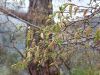 20210422_144137.thumb.jpg.2cf3c5eca3023348e1526ac675e92d60.jpg