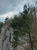 20210422_145254.thumb.jpg.75ed30f02e52a76267a59b12e6d1569d.jpg