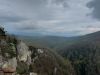 20210422_145955.thumb.jpg.e2c77b627766d9deb883b4b42daf360f.jpg