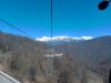 20210423_102234.thumb.jpg.2da1cf911c844e919812076178e1a87a.jpg