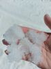 20210423_115334.thumb.jpg.aac0d6f33dec5edea02e1b2cee6fb3c7.jpg