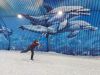 20210423_115540.thumb.jpg.202e3456bbbeaae1ed838e15e0326ac0.jpg
