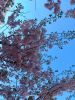 20210423_134454.thumb.jpg.2b59bc382c3ac76c9bcd4ea74d594d9b.jpg