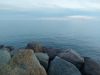 20210423_191755.thumb.jpg.7659da8df7764bb20c5387b626c59c0d.jpg