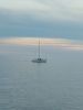 20210423_191927.thumb.jpg.f8c9dbc9e0bbc7cf7f66e0ad0a2dd9c0.jpg