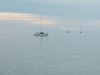 20210423_191938.thumb.jpg.510a9a12d8e26321ff3d35910bfc0681.jpg
