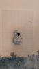20210423_211506.thumb.jpg.5d339e75cb164ad7bb1485fcbbeb1af1.jpg