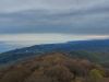 20210424_134535.thumb.jpg.5f0513e007d7cbc84a370b9ecb31fce7.jpg