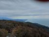 20210424_134623.thumb.jpg.28ec54ad78acae7b549fbd06714f9f79.jpg