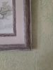 20210425_132435.thumb.jpg.5d62eccf922ee6db7a96a3b27092044c.jpg