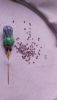 20210427_133133.thumb.jpg.ce2bd412671e19c1ff41dc51fa5be264.jpg