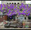 20210429_120129.thumb.jpg.2c9c1a95ce4af4c123f8e987cdc0219c.jpg