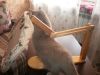 215683900_.thumb.JPG.13bbab0aea043eb75c5d2206ba4979bd.JPG