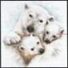 311.thumb.jpg.01b0da8e4de7f76eaa55faf2d1c8add4.jpg