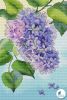 37616.thumb.jpg.abad04a90f50ba1cd4358daff7d57b85.jpg