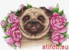 47980.thumb.jpg.b3dc850c12b0eab6f930e6911cddbe00.jpg