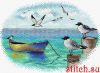 50113.thumb.jpg.9fa9f472b7cf8ed727fa1d30dd956c63.jpg