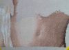 990198733_2021-03-3120-13-35.thumb.JPG.bf4a33e657c1bc518eafbde16a4b8302.JPG