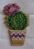 Cactus3.JPG.631741d7b7e3aa414ac03ed172418914.thumb.jpg.3266ae974543ead5d32036ac2a221e92.jpg