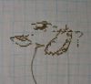 Cherries1.JPG.b8b21fd412aeeefd439ca06a14a79a65.jpg