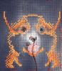 Corgie1.JPG.0623ddce92174199ef179e2a46f0402a.thumb.JPG.33108f17742499f6ce626a28c425636d.JPG