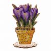 Crocuses.thumb.jpg.7da703db4fb4d15db1af383cf9a37b21.jpg