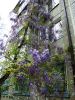DSC00519.thumb.JPG.2c7fea2d83e84ded2492a045f78d46fc.JPG